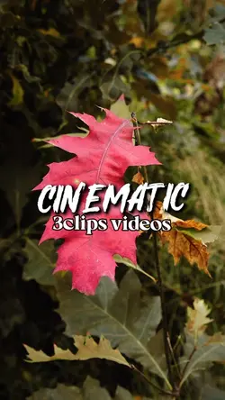 3clips video 
