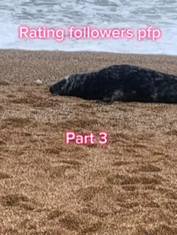 Rating pfp part 3