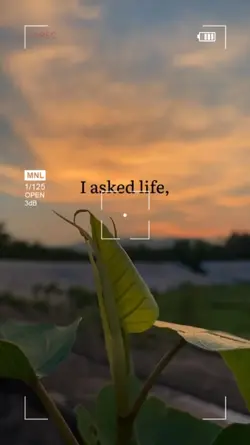 i asked life
