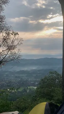 Some beautifull