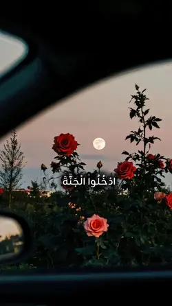 سورة الأعراف 