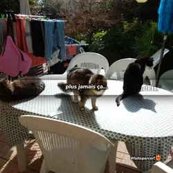 plus jamais ça !