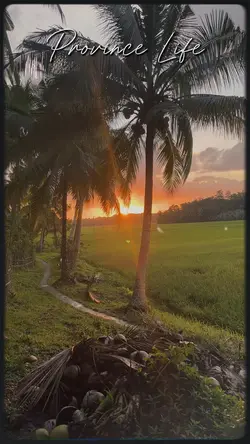 Province life🍃