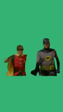 batman and robin pro