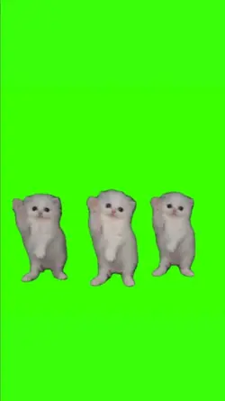 King Nasir Cats