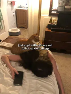 camera roll 