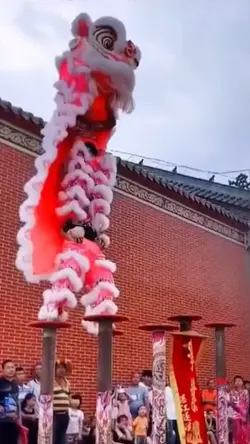 LION DANCE