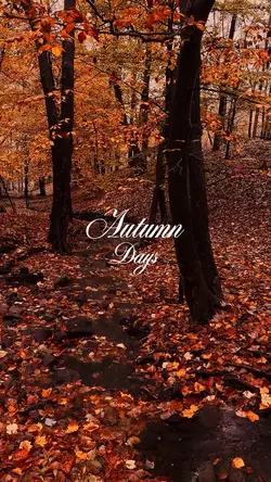Autumn Days