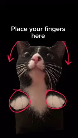 place your fingers 