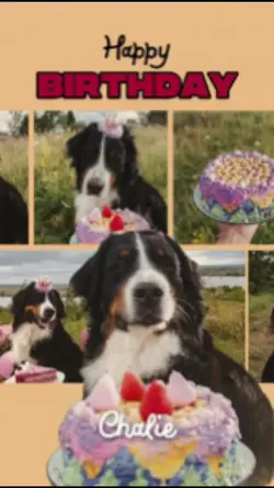 Dog birthday