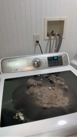 Dryer vent cleaning 