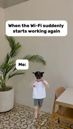 when wifi work again