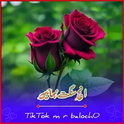 سجاد اکبر زخمی دوہڑا
