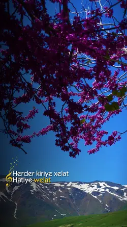 Dibêm buhar