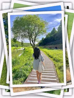 15 Photos Transition