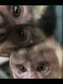 couple photo trend 