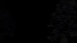 The moon