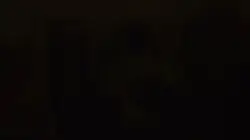 Intro