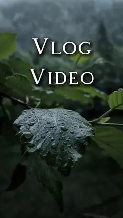 New vlog video
