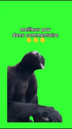 meme bruit de singe