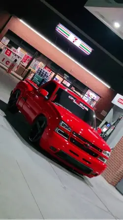 Leon poderoso🔥🔥