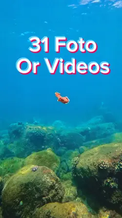 31 Foto Slides