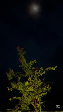 দুঃখের পরে আছে সুখ 