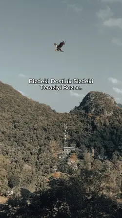 Güzel sözler 