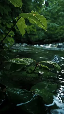 4K