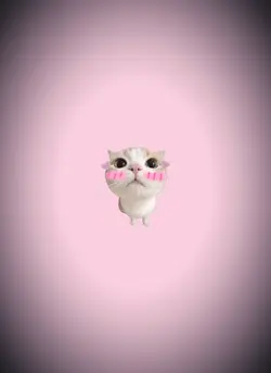 cute cat