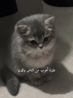 Arabic song 