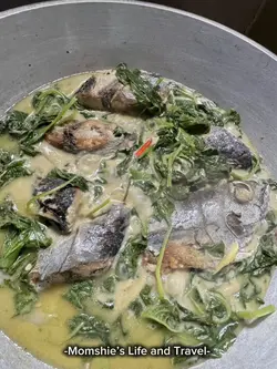 Cooking Vlog