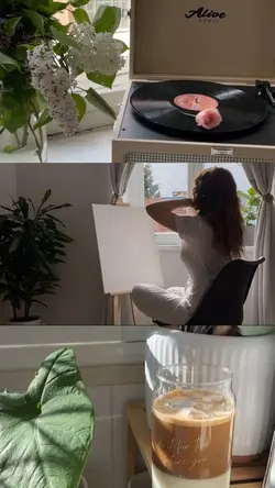 minivlog 