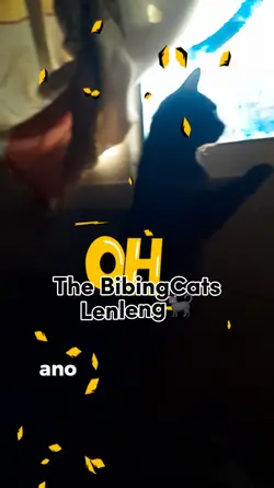 pusang marites
