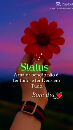 Status do dia