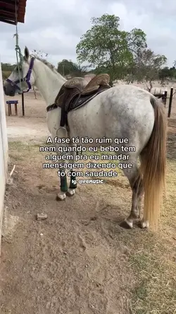 Status de hoje…🥱