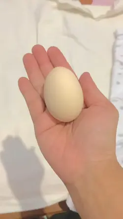 Magical egg