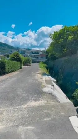 夏