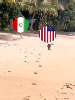 Funny Trend Edit