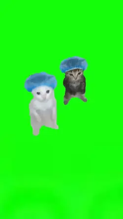 Cats Dancing 