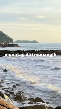 Bungo tiratai