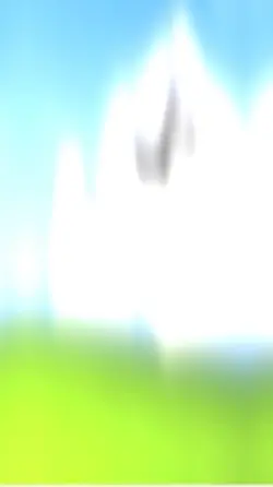 Magal vidéo 45