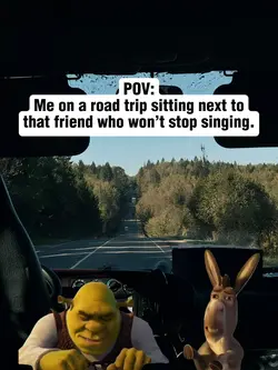 Roadtrip Buddy