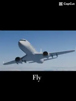 Fly? ✈️🩵