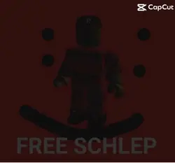 #FREESCHLEP