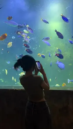 aesthetic video