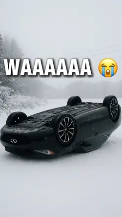Do you like snow?!