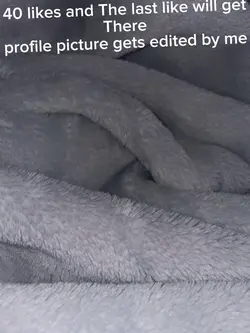 Fgg
