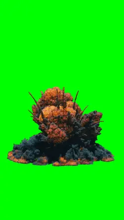 Explosion Meme