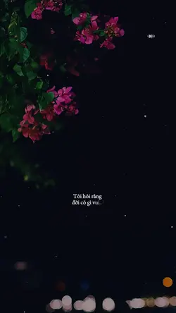 Mỗi Ngày Đáng Sống